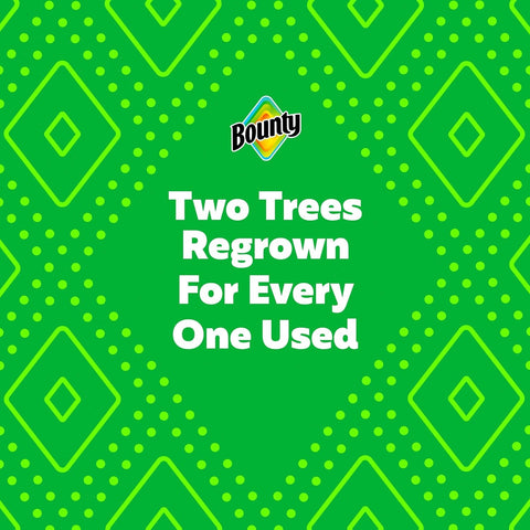 Select-A-Size Paper Towels [2 Mega Rolls = 8 Regular Rolls]